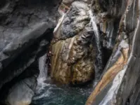 Bras Rouge intégral