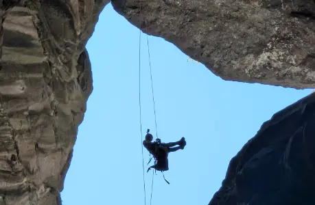 Fleurs Jaunes intégral